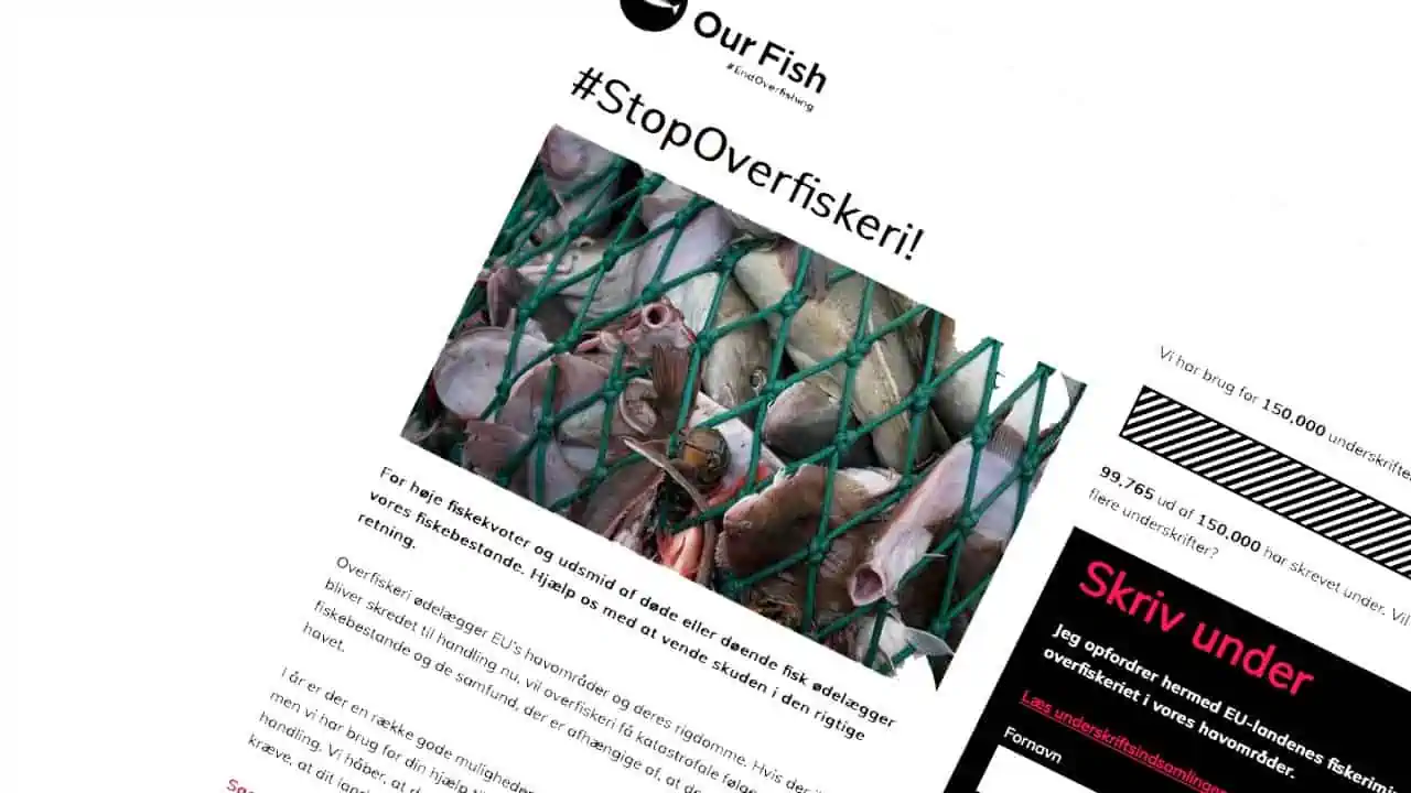 Read more about the article Miljøorganisation vil stoppe overfiskeri – men vil de også stoppe deres løgnagtige argumentation