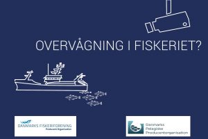 DanFish: Har kameraovervågning overhovedet en plads i fiskeriet