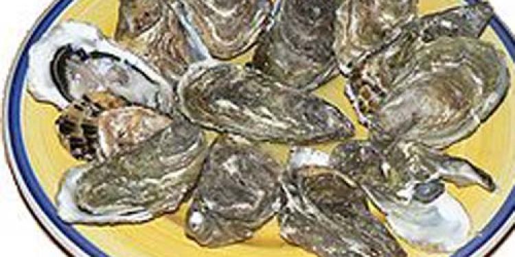 Kontrollører advarer mod forgiftede østers.   Foto: Wikipedia