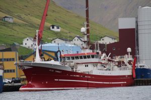 Nyt fra Færøerne uge 48  Foto: Tummas T landende blåhvilling til Havsbrún i Fuglefjord