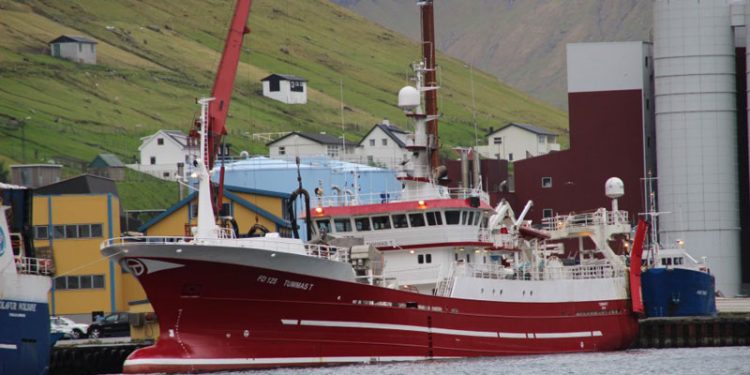 Nyt fra Færøerne uge 48  Foto: Tummas T landende blåhvilling til Havsbrún i Fuglefjord
