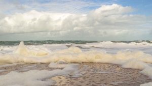 Nye partnerskaber skal rense industrien fri for evighedskemikalier. Så danske virksomheder får nu adgang til ekspertviden, testmiljøer og praktiske værktøjer, der skal hjælpe dem med at udfase PFAS. foto: Kimo