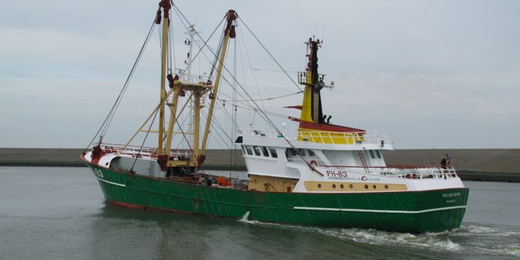 Uden støtte risikerer den hollandske fiskeflåde at bukke under