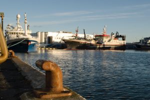 Skagen havn er fortsat Danmarks største fiskerihavn foto: Skagen Havn