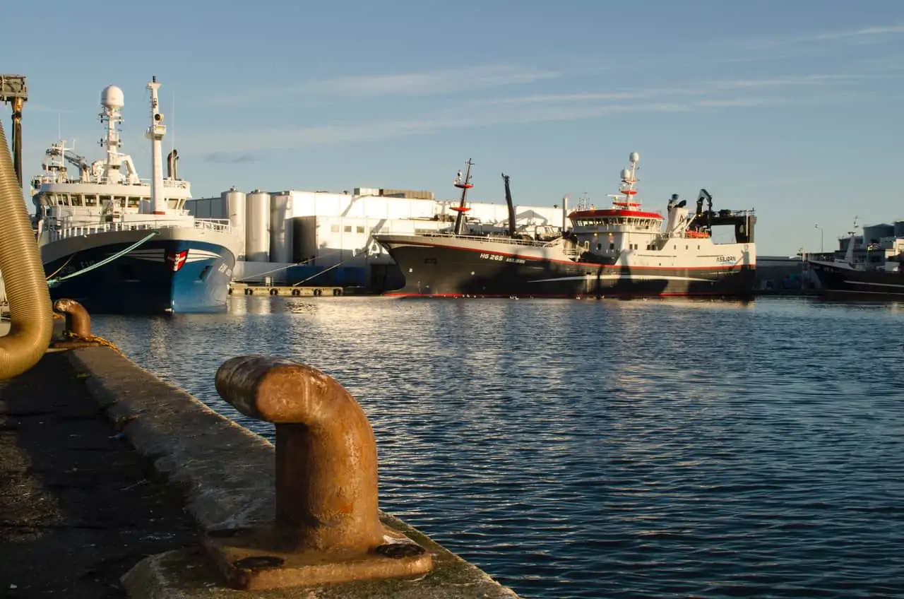 Read more about the article Skagen havn er fortsat Danmarks største fiskerihavn