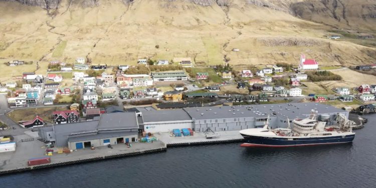 Fiske- og forarbejdnings-virksomheden Pelagos har planer om at købe PP Faroe Pelagic Factory i Kollefjord. foto: Faroe Pelagic