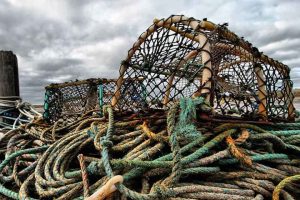 For det første er det vigtigt at forstå, at vores fiskeri ikke kun handler om at beskytte de danske farvande (uden dog at negligere dette) – det handler også om at sikre vores nationale selvforsyning og fødevaresikkerhed. arkivfoto