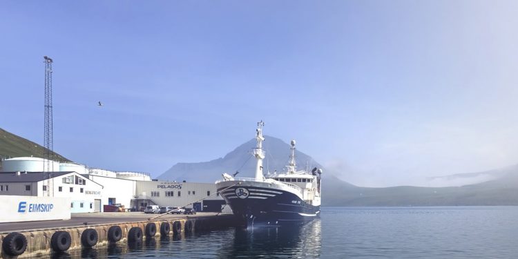 I Fuglefjord landede trawleren **Fagraberg** i sidste uge en last på 900 tons makrel til Pelagos, som de har fisket ud for Færøerne.  Foto: Pelagos