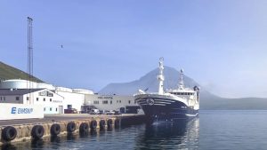 Færøerne: Den færøske makrelflåde er ved at komme op i omdrejninger. foto: Pelagos i Fuglefjord
