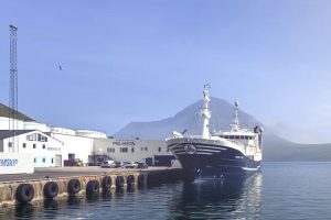 Færøerne: Den færøske makrelflåde er ved at komme op i omdrejninger. foto: Pelagos i Fuglefjord