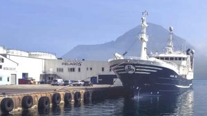 Den færøske fiskeindustri oplever i øjeblikket gode landinger af sild i både Fuglefjord og Tvøroyri, hvor trawlerne er i gang med at lande fangster efter flere dages fiskeri i internationalt farvand. foto: Pelagos