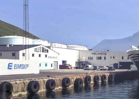 Færøske og grønlandske trawlere leverer i tonsvis af industrifisk, som lodde og blåhvilling fra islandsk og færøsk zone. Her kører man på højtryk, hvor både industrifisken landes i store mængder til Pelagos, Havsbrún og Varðin Pelagic. foto: Pelagos Fuglefjord