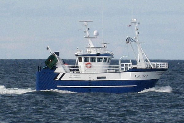 Read more about the article Mange danske Østersø torsk leveres direkte til aftagere i Polen.