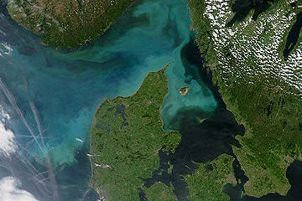 Read more about the article Livsvigtige plankton i de nordlige havområder.