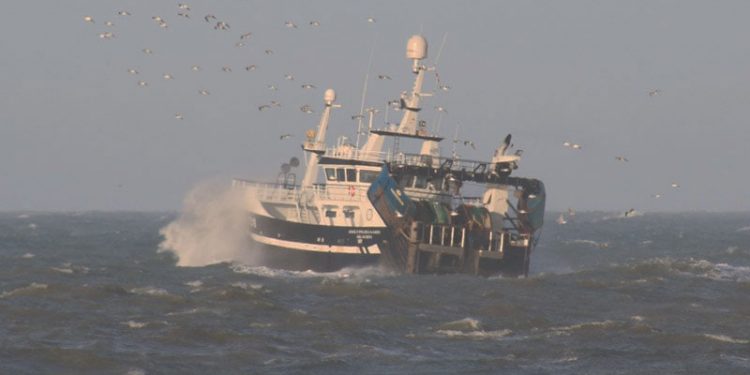 Fiskerne: »Vi lukker og slukker« hvis Regeringen får held af deres Co2-afgift. arkivfoto: Pilegaard S 226 HHansen