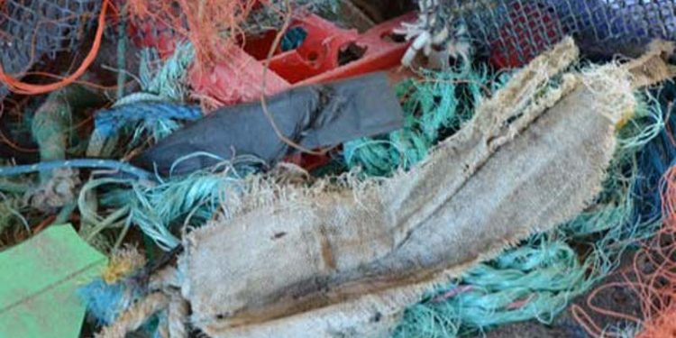 skovl tapperhed forholdet Fiskernes oprydning i havet koster millioner i afgifter - FiskerForum