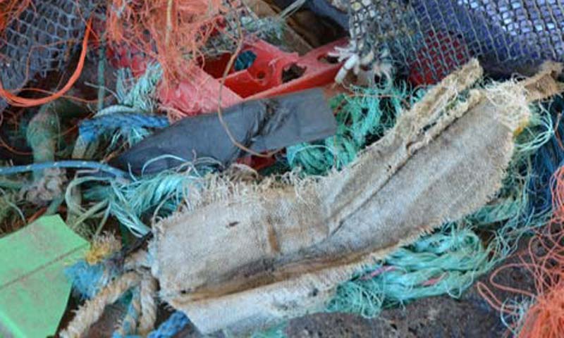 Read more about the article Fiskernes oprydning i havet koster millioner i afgifter