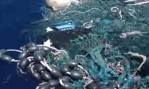 Europæiske fiskere og Miljøorganisation lover at fjerne plastikaffaldet fra havet.  arkivfoto: plastaffald i havet