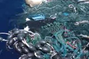 Europæiske fiskere og Miljøorganisation lover at fjerne plastikaffaldet fra havet.  arkivfoto: plastaffald i havet