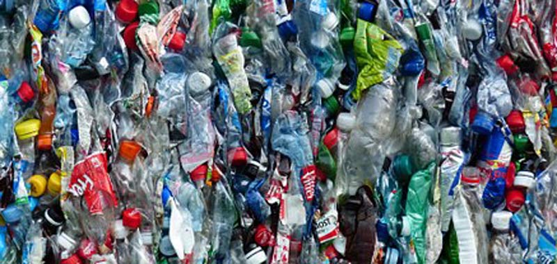 Read more about the article Der er fundet et enzym der kan eliminere plastproblemet