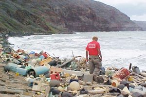 Mikroplast (gummi) fra bildæk går med regnvandet ud i havet  Foto: plastforurening findes snart overalt - Wikipedia