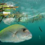 EU - Plastforurening i havet omkring fiskeriet kommer i offentlig høring. foto: EU