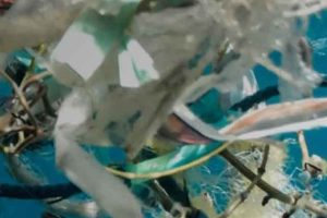 Fem forhandlingsrunder og ingen aftale - konsekvenserne rammer havet, verden og fiskeriet - alt imens vokser plastikmængderne, mikroplast trænger dybere ind i havets fødekæder og fiskeriet står tilbage med risiko, omkostninger og et uens regelsæt. foto: UN