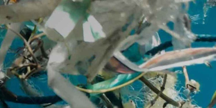Fem forhandlingsrunder og ingen aftale - konsekvenserne rammer havet, verden og fiskeriet - alt imens vokser plastikmængderne, mikroplast trænger dybere ind i havets fødekæder og fiskeriet står tilbage med risiko, omkostninger og et uens regelsæt. foto: UN