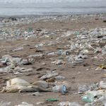 Plastikforurening af verdenshavene