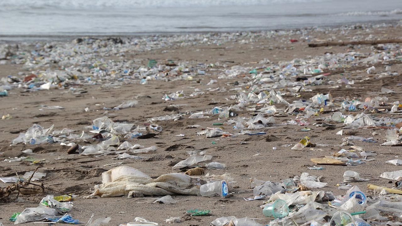 Read more about the article EU’s politik omkring plastik skal sikre det ikke ender i havene