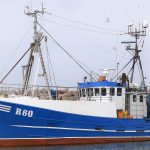 R 60 – TASMANIA – NEKSØ - Trawler