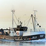 HG 31 – Sedinah – Hirtshals - Trawler