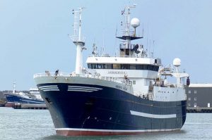 I Fuglefjord landede den norske trawler **Norderveg** 370 tons lodde, som de har fisket ud øst for Island. foto: Norderveg - PmaR