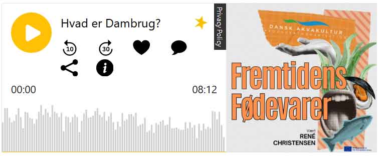 I første afsnit ›Hvad er Dambrug?‹ fortæller René om, hvordan dansk akvakultur har udviklet sig – fra de første jorddambrug til nutidens moderne, ressourceeffektive anlæg. foto: DAPO