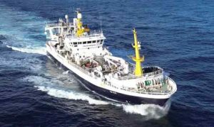 Den grønlandske trawler Polar Princess landede i ugen en last på 200 tons frossen torsk. foto:ST Fiskur.fo