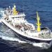 Den grønlandske trawler Polar Princess landede i ugen en last på 200 tons frossen torsk. foto:ST Fiskur.fo