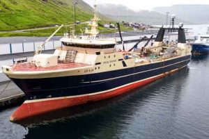 Den grønlandske fabrikstrawler Polar Princess har i denne uge landet en last på godt 400 tons torsk i Kollefjord på Færøerne. foto: kj fiskur.fo