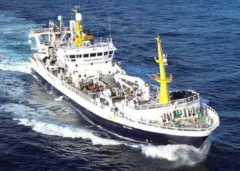Den Grønlandske frysetrawler Polar Amaroq landede i sidste uge en last på ca 600 tons frossen sild og makrel Kollefjord, og 400 tons til Havsbrún. foto: st fiskur.fo