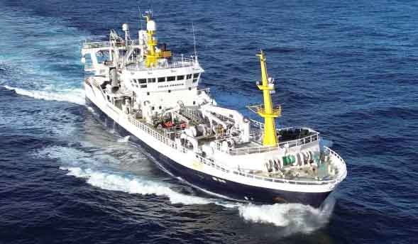 den grønlandske trawler **Polar Ammasassk** leverede 1.100 tons lodde til Varðin Pelagic og fortsatte herefter fiskeriet. foto: ST - Fiskur.fo