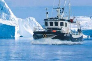 Grønlandsk fiskeindustri udviser samfundssind