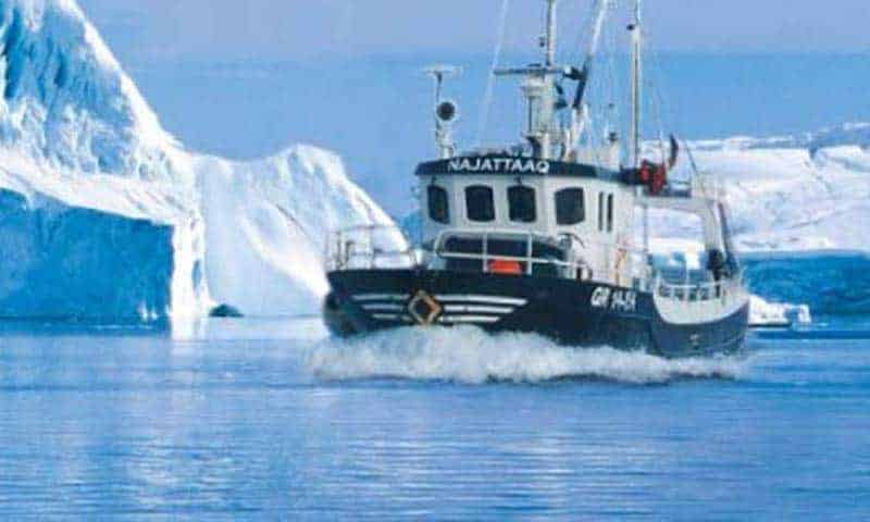 Read more about the article Grønlandsk fiskeindustri udviser samfundssind