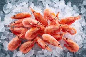 Polar Seafood Denmark leverer et rimeligt resultat, trods udfordringer foto: Polar Seafood