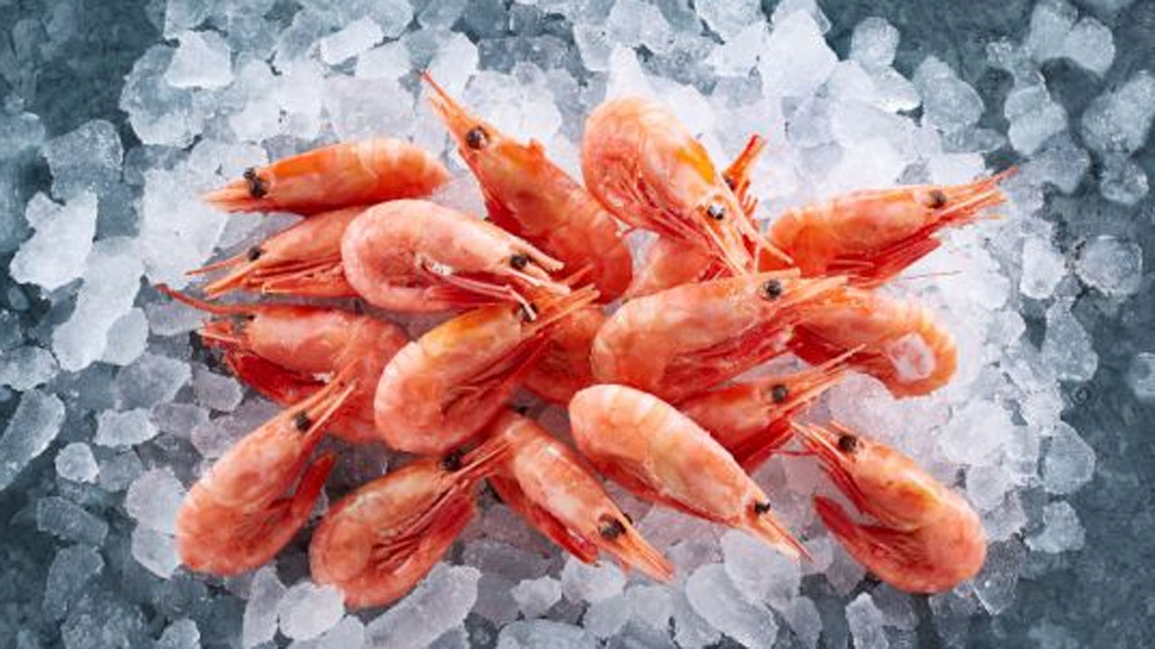 Read more about the article Polar Seafood Denmark leverer et rimeligt resultat, trods udfordringer