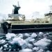 Polar Seefood