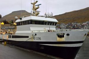 I Klaksvik landede partrawlerne **Polarhav** og **Stjørnan** 230 tons guldlaks til Kósina i Klaksvík, som efterfølgende blev kørt i biler til Tavuna i Leirvík. foto Fiskur.fo