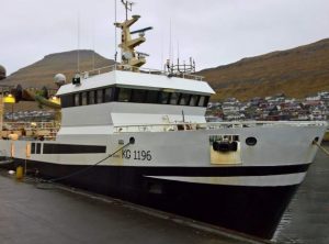 I Klaksvik landede partrawlerne **Polarhav** og **Stjørnan** 230 tons guldlaks til Kósina i Klaksvík, som efterfølgende blev kørt i biler til Tavuna i Leirvík. foto Fiskur.fo