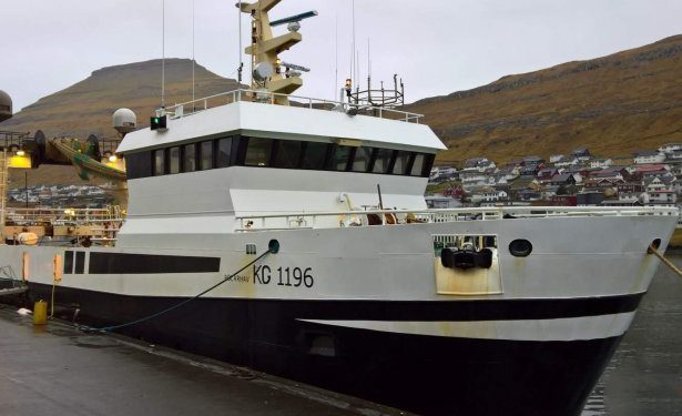 I Klaksvik landede partrawlerne **Polarhav** og **Stjørnan** 230 tons guldlaks til Kósina i Klaksvík, som efterfølgende blev kørt i biler til Tavuna i Leirvík. foto Fiskur.fo