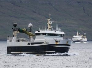 I Klaksvik landede partrawlere »Polarhav« og »Stjørnan« 220 tons guldlaks, som de har fisket vest for Færøerne.