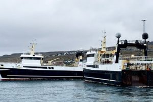Færøerne: Partrawlere lander guldlaks i Klaksvik. foto: KiranJ