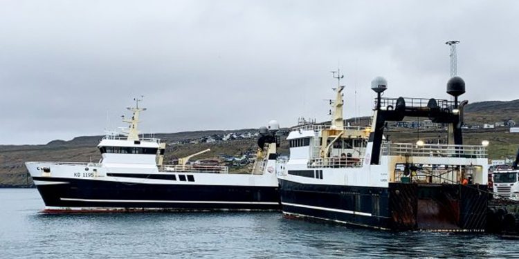 Færøerne: Partrawlere lander guldlaks i Klaksvik. foto: KiranJ